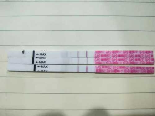 52岁高龄试管婴儿费用全解析：1、2、3代技术及供卵助孕医院选择指南