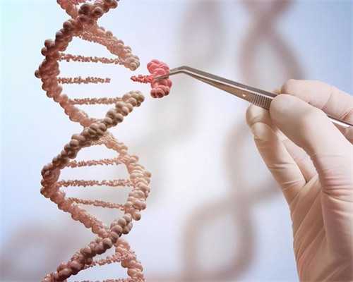 徐州试管助孕机构与供卵代孕费用解析