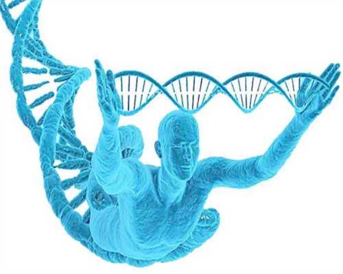 珠海第三代试管婴儿成功率及费用对比：单胎是否更贵？