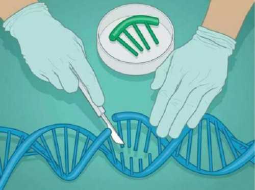 湖南借卵试管男孩成功率及费用全攻略