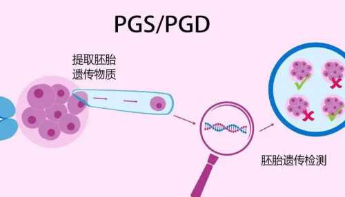 上海借卵试管包生男孩医院排名及费用成功率参考