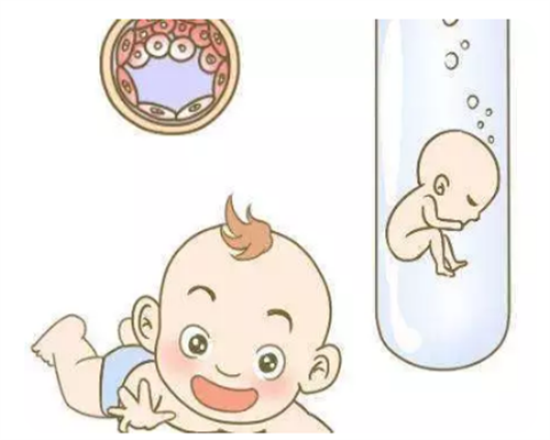 【2026实测】厦门供卵助孕成功率高吗？真实案例复盘与好孕率要点